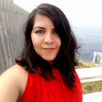 Carolina Hernández Navarro