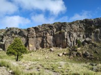 Luis Ramón Munive Hernández