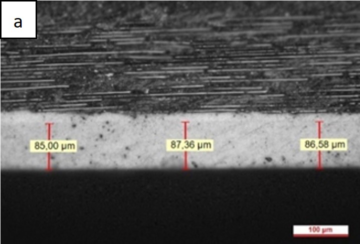 Review 950121520459 8840 Figura 5a.jpg