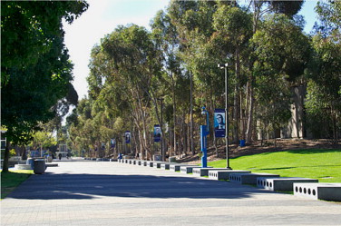 Library Walk at the University of California, San Diego.