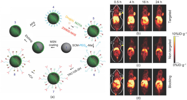 (a) Surface engineering of HMSN. Uniform dense silica (dSiO2, 1) was firstly ...