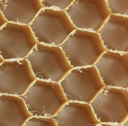 Draft Compuestos 827471348-image13.png