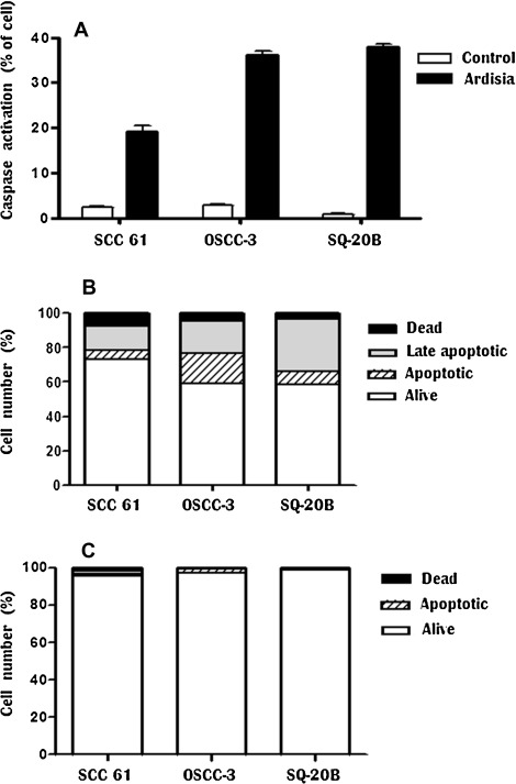 (A) Caspase activation by Ardisia compressa extract in HNSCC cell lines. Cell ...