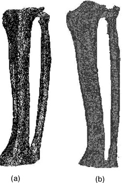 Estudio de la pierna. a) isosuperficie no simplificada, b) isosuperficie ...