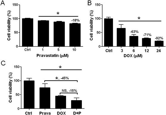 Pravastatin did not enhance doxorubicin (DOX) effect in vitro. (A) Pravastatin ...