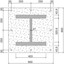 Seção mista (dados em mm).