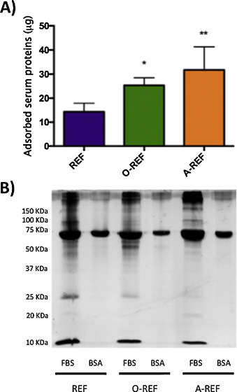 Protein adsorption on MWCNT. MWCNT preparations, dispersed in 0.05wt% BSA, were ...