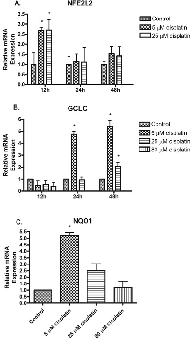 mRNA expression of antioxidant genes NFE2L2, GCLC, and NQO1 in hPTCs. Total mRNA ...