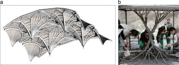 (a) Computational model of a treelike branching ribbed masonry vault (). (b) ...