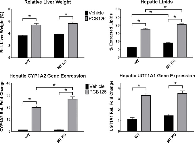 Canonical AhR activation observed in both WT and MTKO mice with exposure to ...