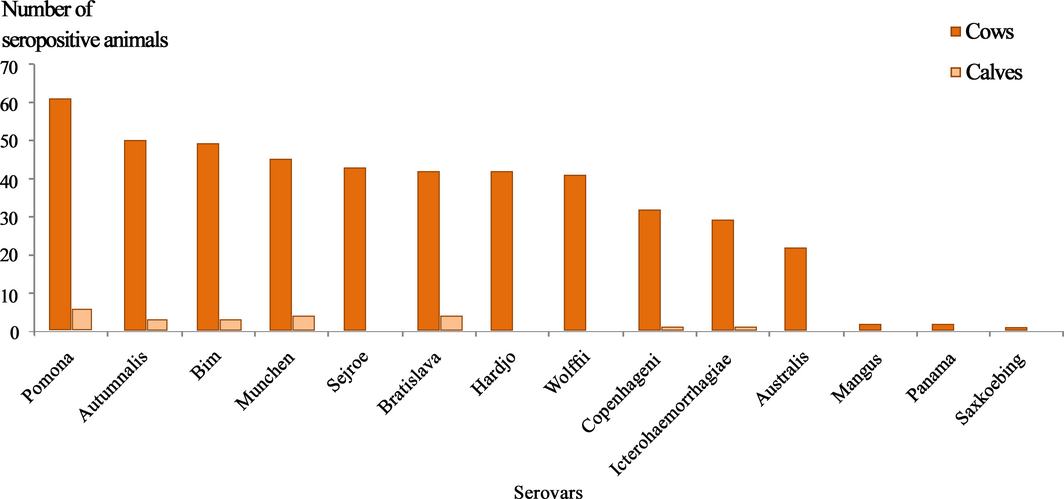 Figure 2.