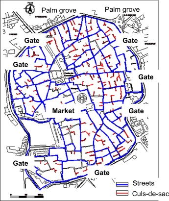 Compact cellular layout of Ouargla Ksar.