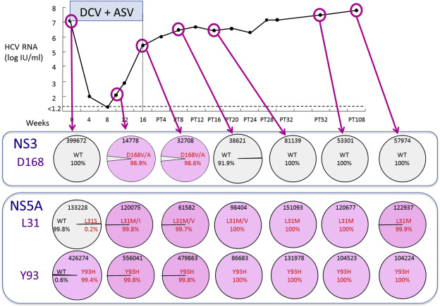 Time course of changes in HCV, NS3, D168, and NS5A L31 and Y93 substitutions in ...