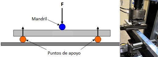 Palleiro et al 2018a-image6.jpg