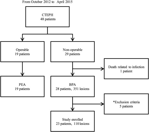Study flow chart. BPA, balloon pulmonary angioplasty; CTEPH, chronic ...
