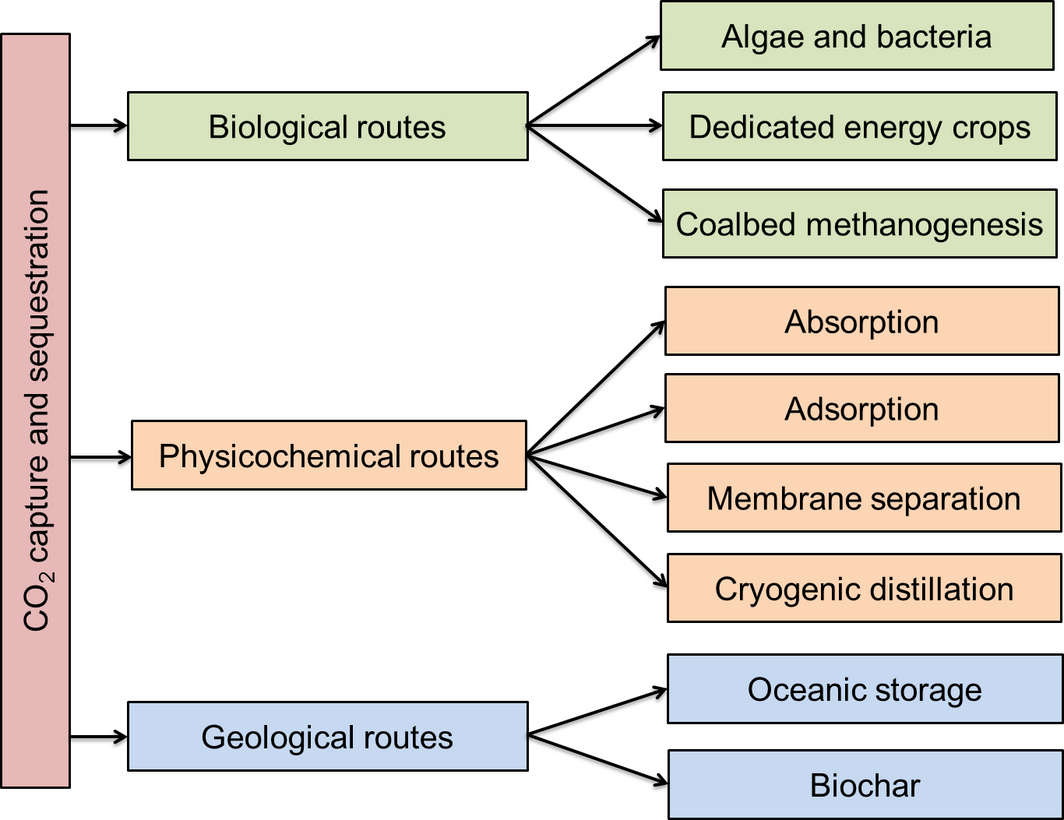 Figure 5.