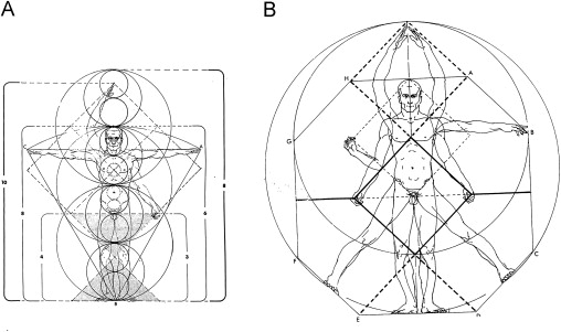 Vitruvian man, with proportions based on the sacred mean (Critchlow, 1976).