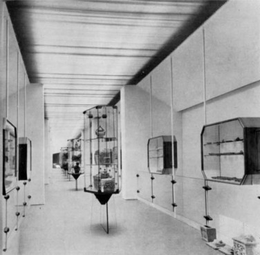 National Etruscan Museum of Villa Giulia, Rome, F. Minissi, 1950–60: One of ...