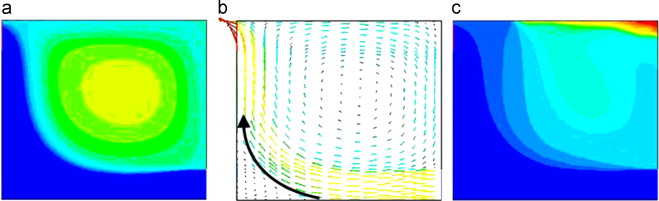 Two-dimensional domain, t=200s: (a) Contours of temperature for wind velocity ...