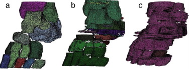 Dominio geométrico del pie del adulto 2. a) Combinando la umbralización global y ...