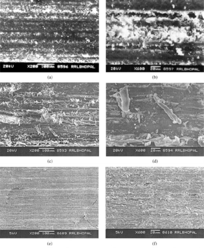 SEM photographs of worn surface of different composites: (a) worn surface of ...