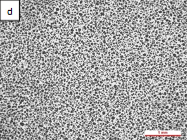 Review 950121520459 7371 FIgura 3d.jpg