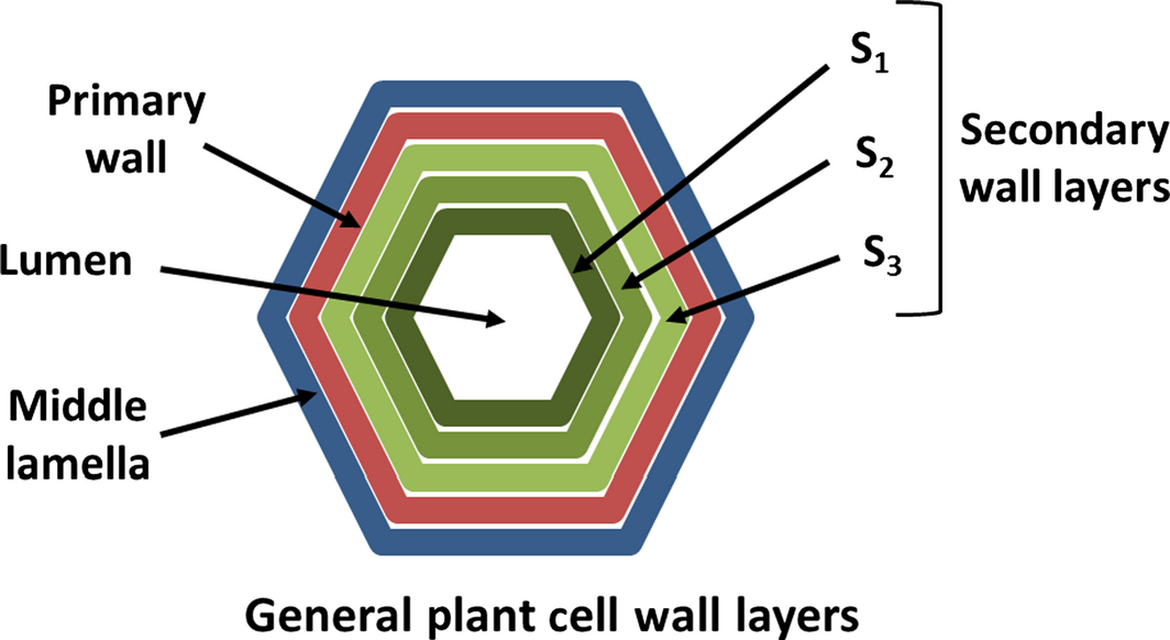 Figure 9.