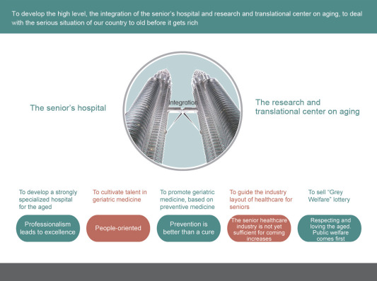 Diagram of strategic plans for a healthy aging population.