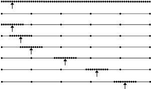 Acoplamiento entre malla local y global para varios instantes de tiempo en los ...