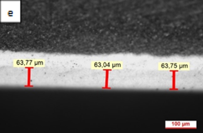 Review 950121520459 3496 FIgura 2e.jpg