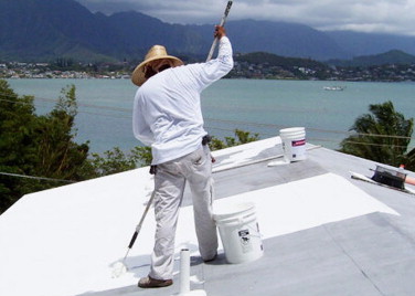 Reflective white roof paint (Cool Roof Hawaii, 2013).
