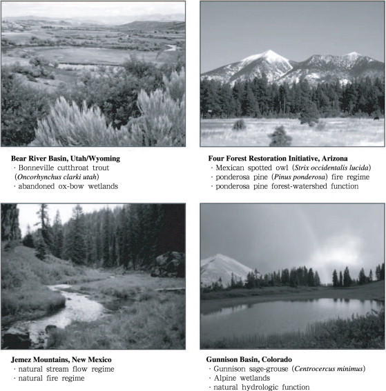 Focal landscapes and conservation features of the SWCCI in the U.S. states of ...