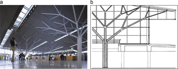 (a) Structural ‘trees’ in Stuttgart Airport Terminal, Stuttgart, by Von Gerkan, ...