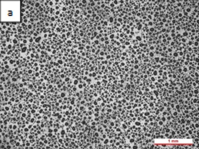 Review 950121520459 9702 Figura 3a.jpg