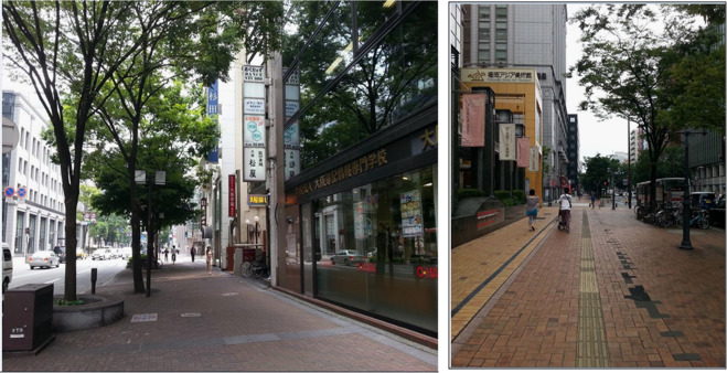 Pedestrian space along the festival route.