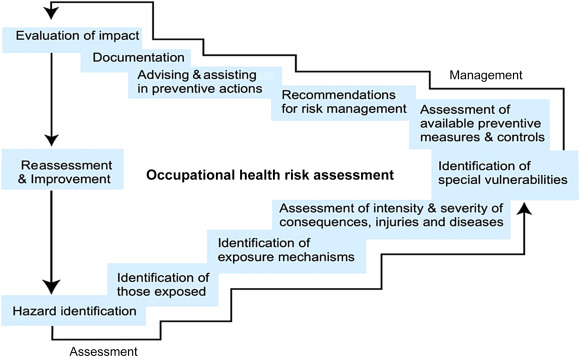 Risk assessment–risk management cycle.Note. From: J Rantanen, Basic occupational ...