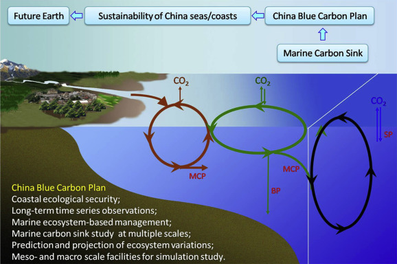 Main foci of China Future Ocean Alliance and its connection with the Future ...