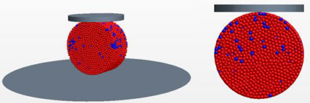 Draft Rasmussen 430797769-image15.png