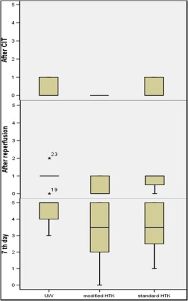 Comparison of the histopathological results based on the semiquantitative scores ...