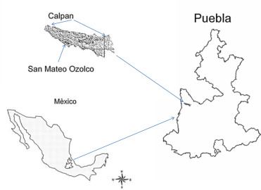 Ubicación de la comunidad de estudio: San Mateo Ozolco, municipio de Calpan, ...