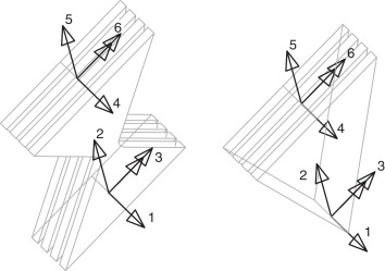 Coordenadas globales del elemento disipador ADAS y TADAS.