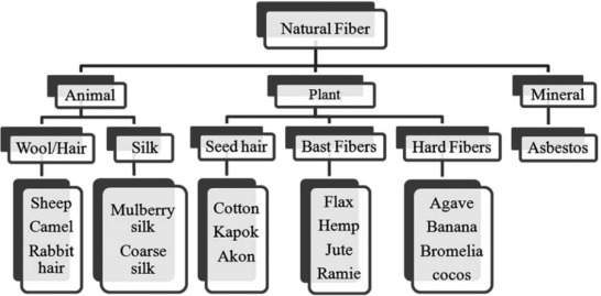 Source of natural fibers [36].