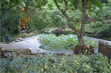 The Lily Pond for a flourishing habitat, HKU.