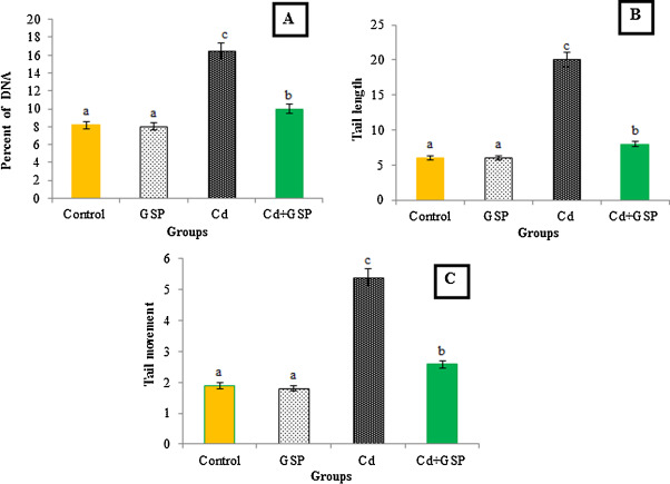 Effect of GSP and Cd on DNA damage in the hepatocytes of control and ...