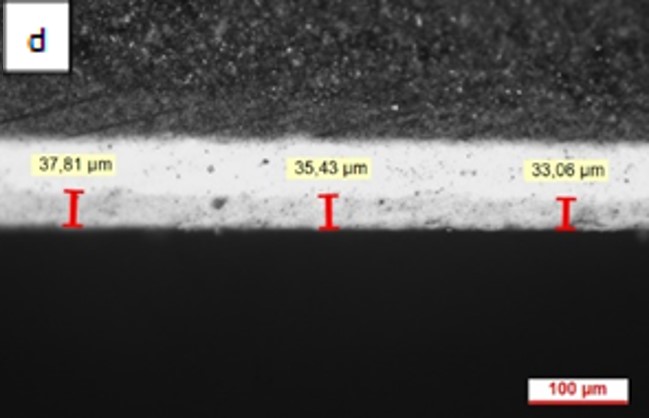 Review 950121520459 4101 FIgura 2d.jpg