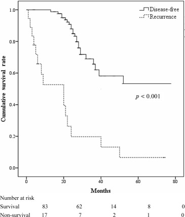 Survival curves for patients with hepatocellular carcinoma who underwent ...