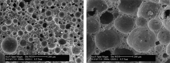 Microstructure of two foam concrete mixtures with 40% FA. 1000kg/m3 Mixture ...