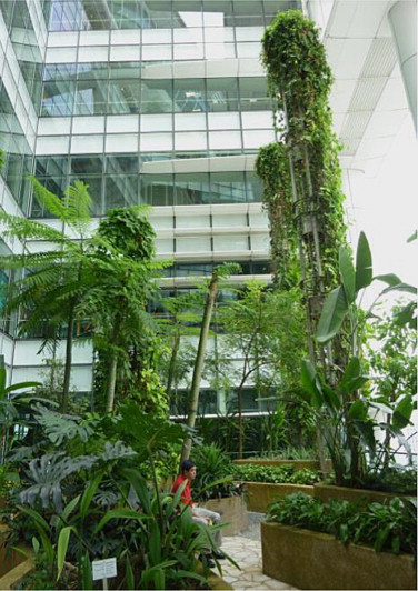 The sky-courtyard in National Library of Singapore.