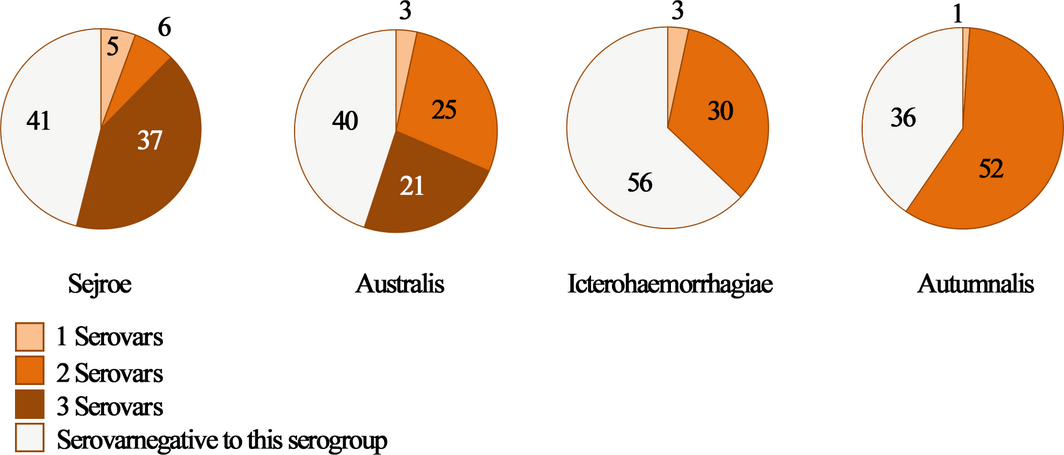 Figure 4.