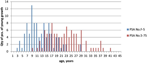 Distribution of the age of Ajan spruce young growth in two permanent study areas ...